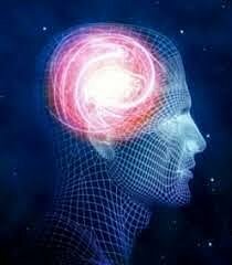 PRIMERAS SOCIEDADES  1960 – 1979.