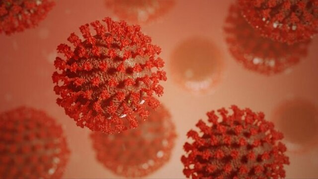 Coronavirus