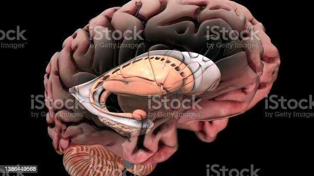 Antonio Guaneiro Siglo XV