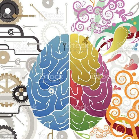 Franz Joseph Gall siglo XVIII