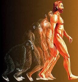 Surgimiento del Evolucionismo Unilineal.