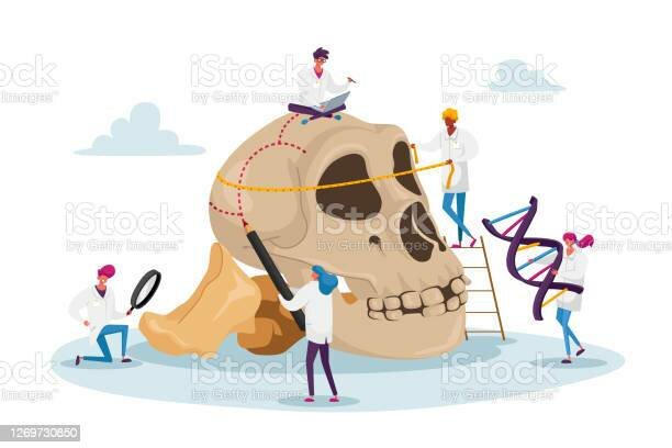 Sociedad Antropológica de Paris