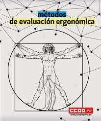 Constitución de la MAE