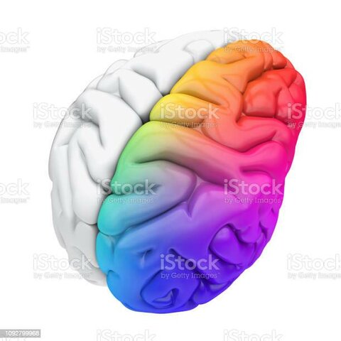 Psicólogos de la Gestalt
