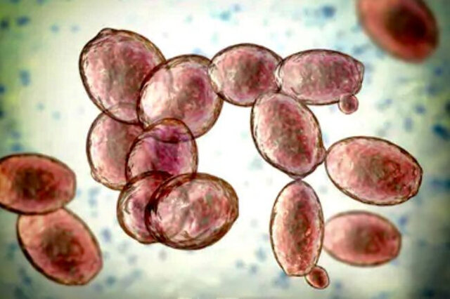 ORIGENES DE LA BIOTECNOLOGIA