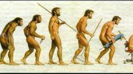 Timeline: Historia de la Ergonomía