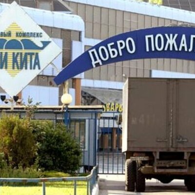 Timeline: Дело трёх китов