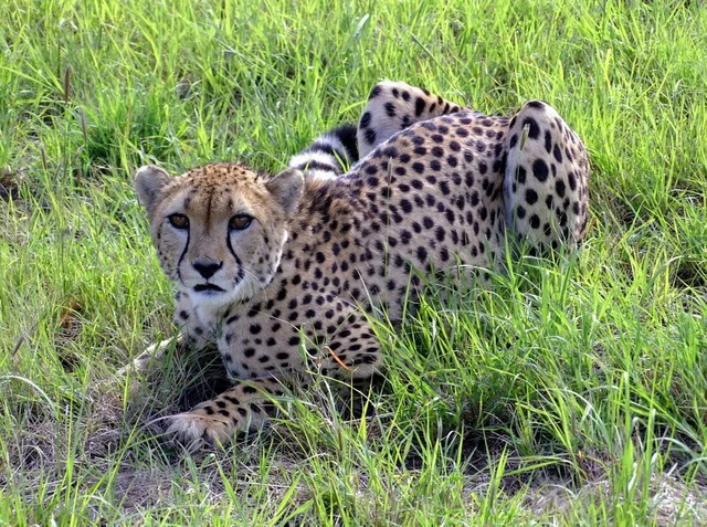 Day 12 - Otjiwarongo