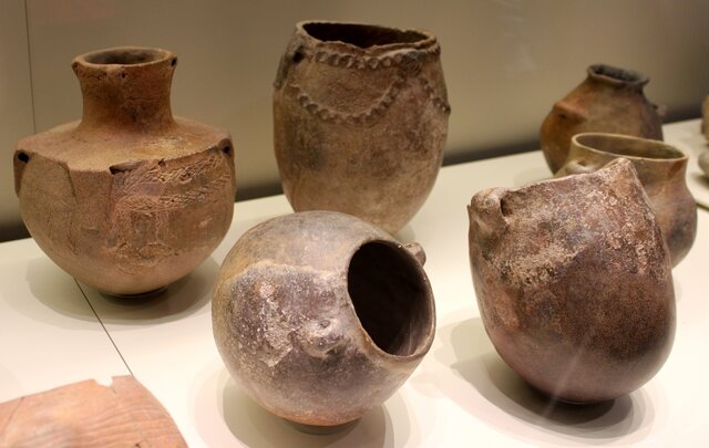 Transmisión de más conocimientos.