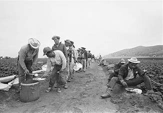 Bracero program