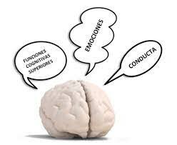 Neuropsicología cognitiva