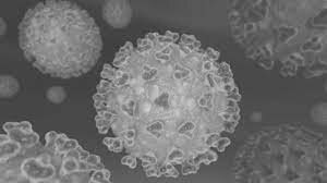 Inicio estado alarma por  COVID-19