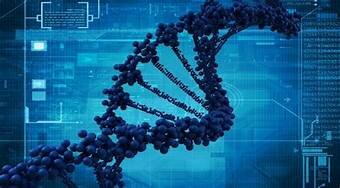 Informática Molecular