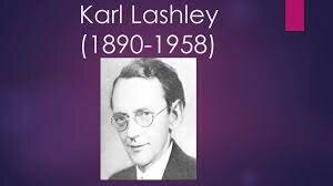 KART LASHLEY (1890 - 1958)