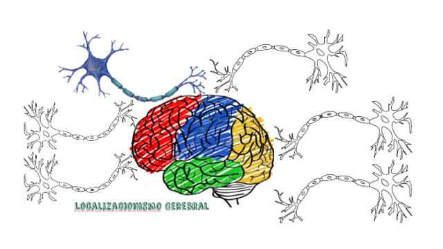 TEORIA LOCALIZACIONISTA (PAUL BROCA)
