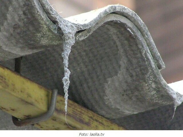 ley 436 de febrero de 1998