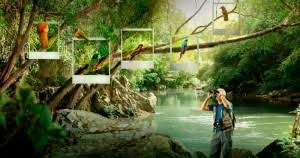 LA IMPORTANCIA DE LA EXPERIENCIA