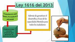 Año 2013: Ley 1616