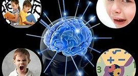 Timeline: La Neuropsicología en el Tiempo