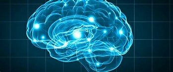 Neuropsicología de orientación psicológica