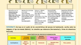 Timeline: Línea del tiempo