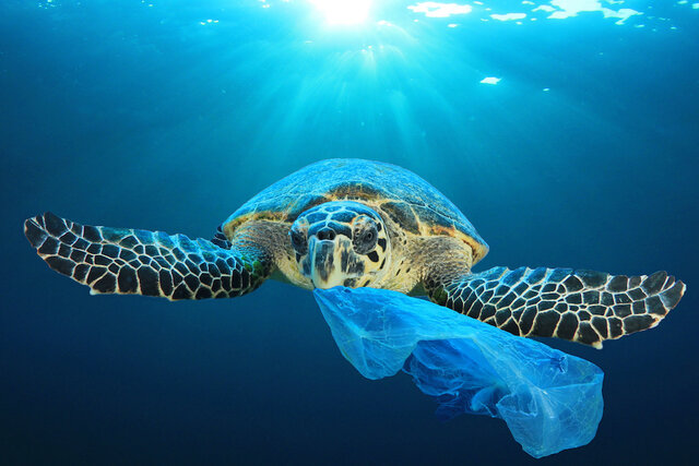 Landmark agreement to curb plastic pollution