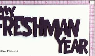 Freshman Year or My 9th Grade Year