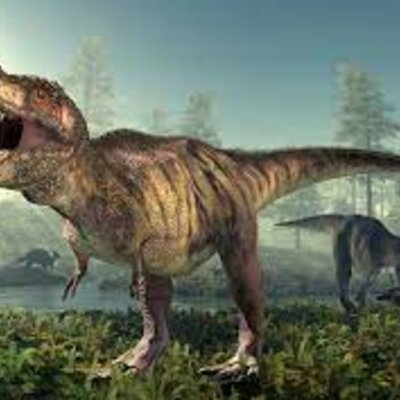 Timeline: Geología Histórica Alexandru Valentin Florea 4ºA