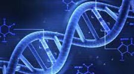 Timeline: Los principales descubrimientos sobre el ADN