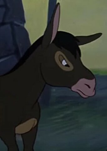 Benjamin is introduced