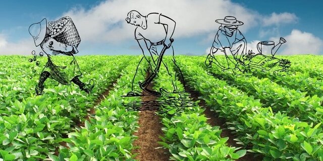 Evolución agrícola