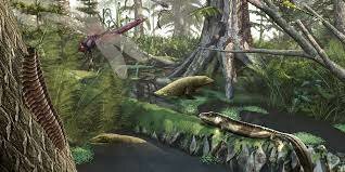Carbonifero