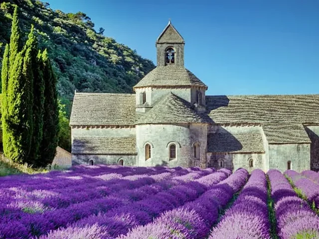 Day 12: Provence