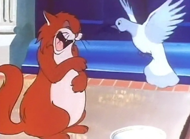 The cat is introduced