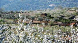 Timeline: Europa 1947