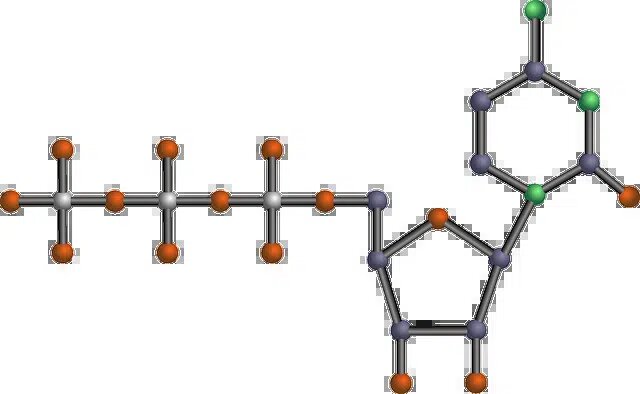 Degradación y bases nitrogenadas