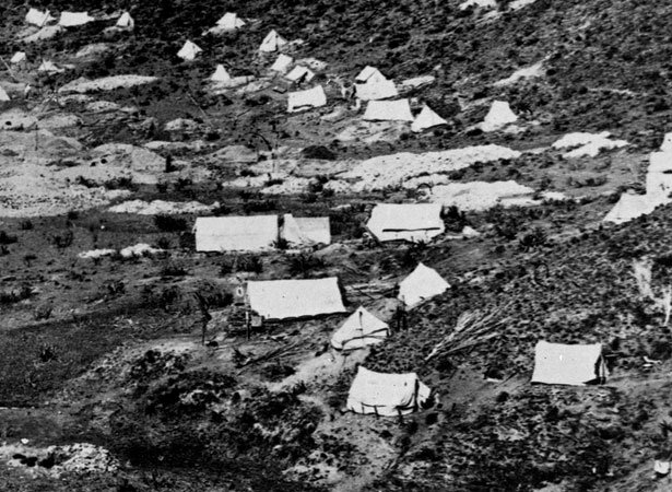 West coast gold rush