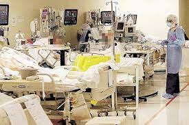 Aparición de la Fiebre Amarilla