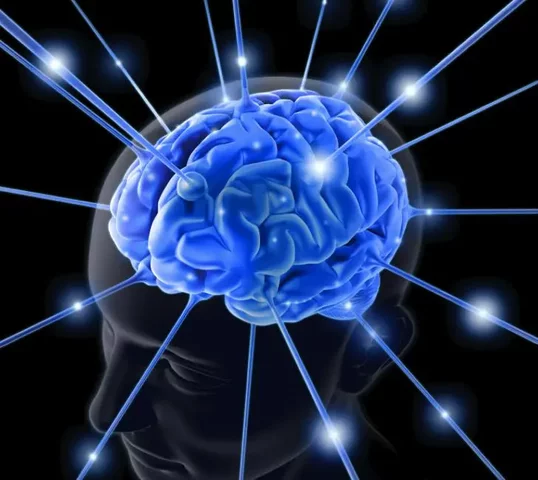 MARCO ANTONIO  VELILLA