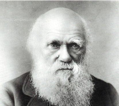 Charles Darwin: publica su libro con la Teoría de la evolución de las especies