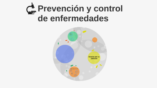 Inicios de Prevención y control industrial