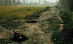 Mai Lai Massacre