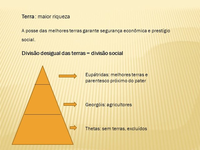 divisão social dos homéricos