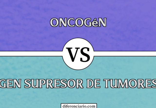 Descubrimiento de oncogenes y genes supresores de tumores.