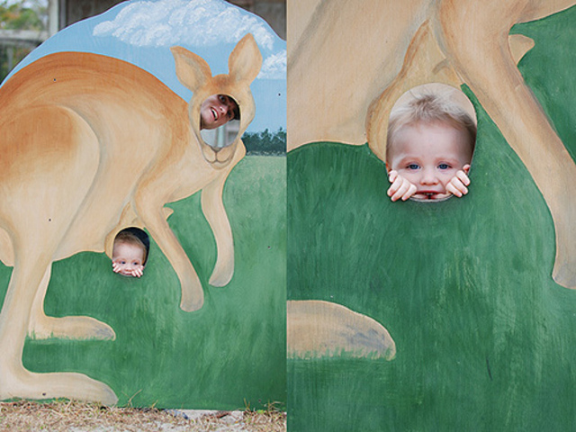 fist time at the zoo.