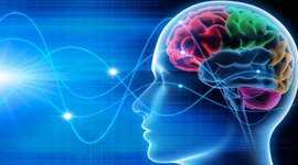 Timeline: Origen y evolución de la neurociencia