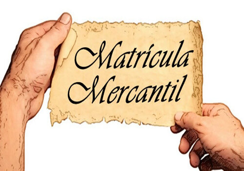 CREACION DE LA MATRICULA PARA COMERCIANTES NACIONALES, NORMAS SOBRE LAS CONSIGNACIONES Y NONBRAMIENTO DE CONTADORES PERITOS EN LOS LITIGIOS COMERCIALES