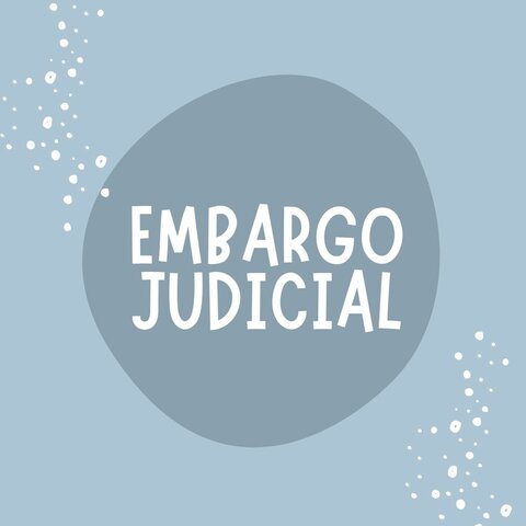PASO 4: Embargo judicial ART. 5