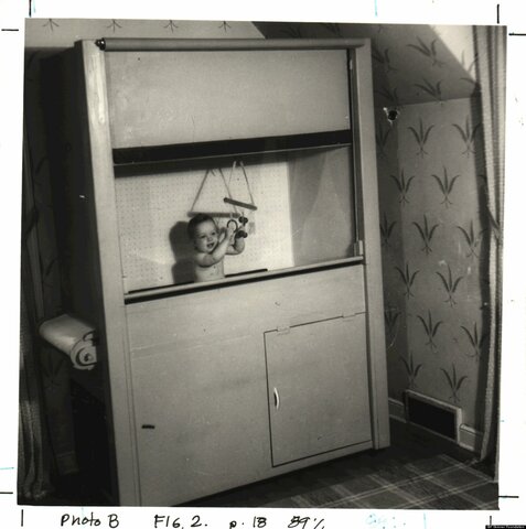 Burrhus Frederic Skinner