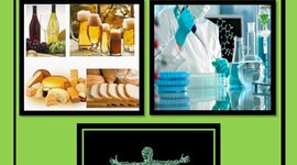 Timeline: La Evolución de la Biotecnología